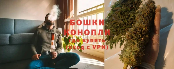 дурь Богородицк