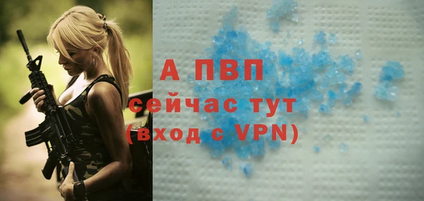 дурь Богданович