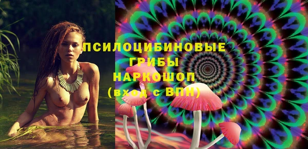 дурь Богданович