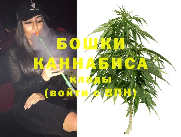 дурь Богданович