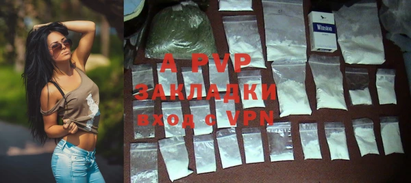 дурь Богданович