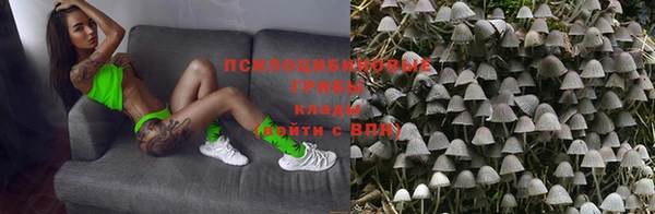 дурь Богданович